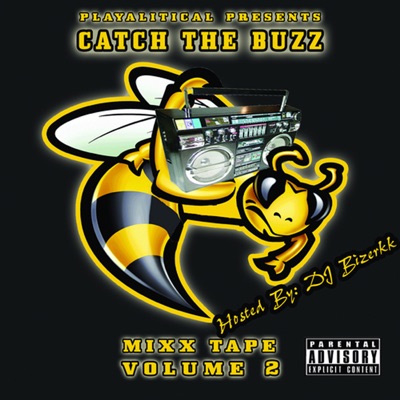 Catch the Buzz, Vol. 2