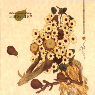 .aiff Skull EP