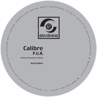 P.U.R - Calibre