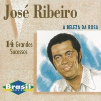 José Ribeiro - A Beleza da Rosa