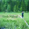 Linde Nijland - Who Knows Where the Time Goes