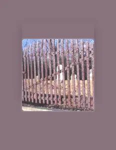 The Quiet Earth Orchestra을(를) 듣고, 뮤직 비디오를 보고, 약력을 읽고, 투어 일정 등을 확인하세요!