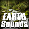 Northern Forest At the Height of Summer - Sounds of the Earth