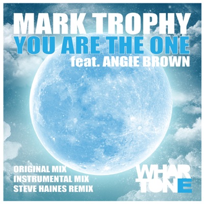 You Are The One (feat. Angie Brown) - Single