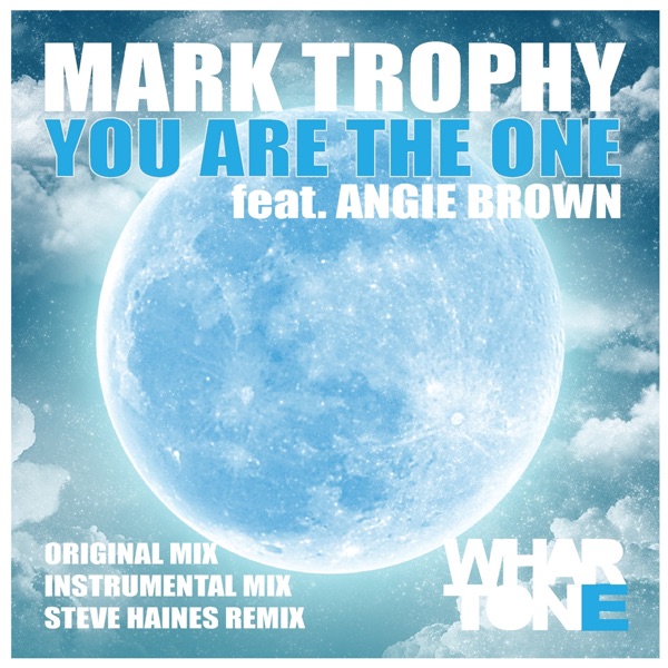 You Are The One (feat. Angie Brown) - Single