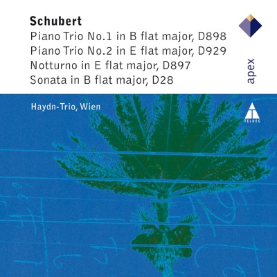Piano Trio in E-Flat Major, Op. 100: II. Andante con moto-thumbnail