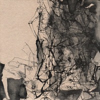 Luke Winslow-King - Horse Stumble Fall