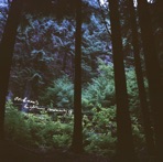 Stein & Mari's Daydream Community - EP