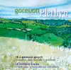 Plethyn - Y Gwylliaid (The Bandits)