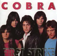 Looking At You — Cobra