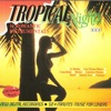 Tropical Nights