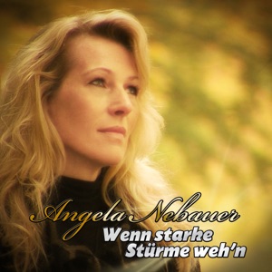 Wenn Starke Stürme Wehn - Single