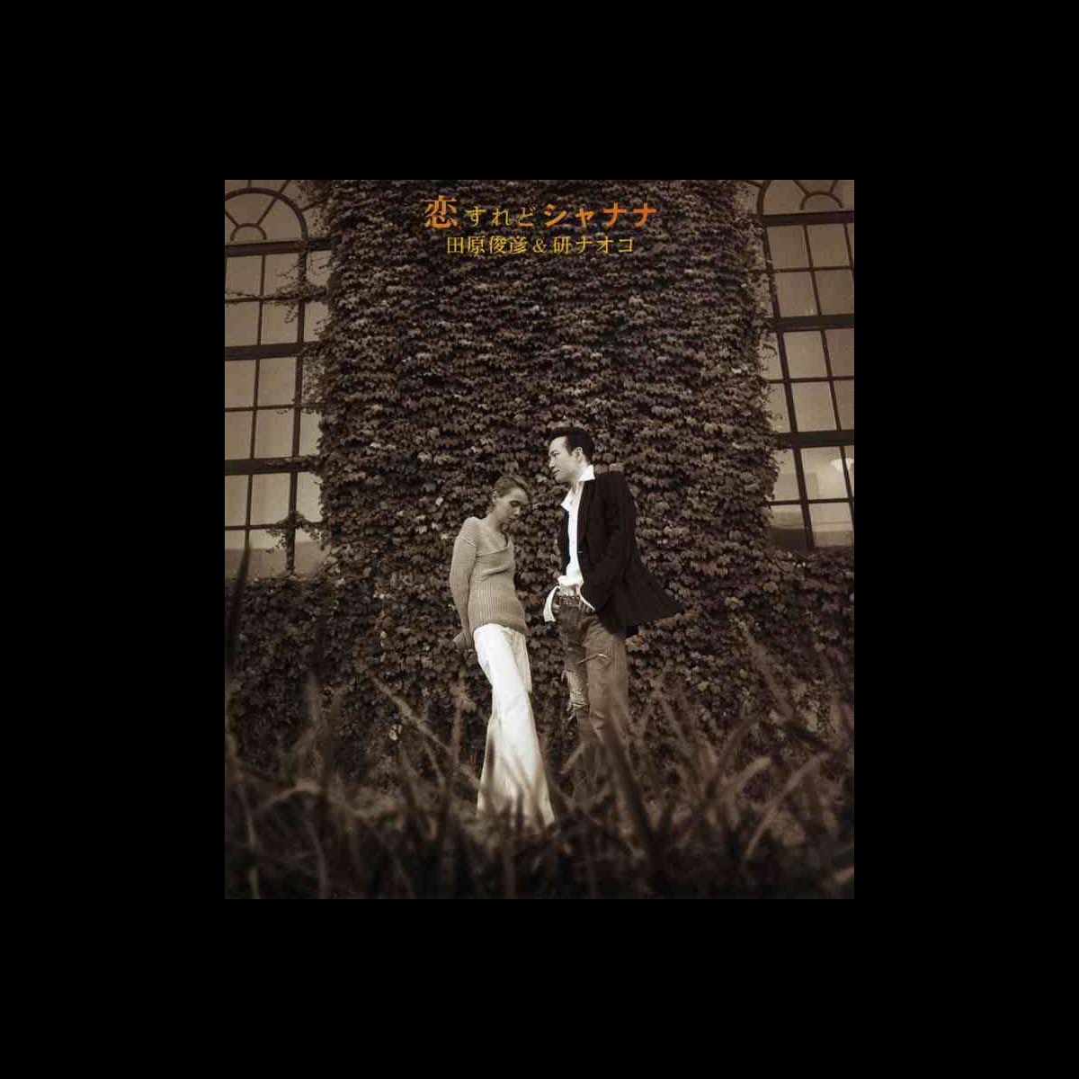 ☆未開封☆ 田原俊彦＆研ナオコ 恋すれどシャナナ CD