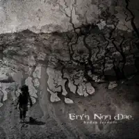 When Time Elapses — Eryn Non Dae.