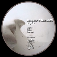 Pilgrim - Single - Hertzman & Damolh33