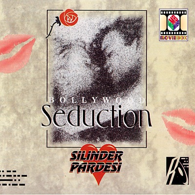 Bollywood Seduction