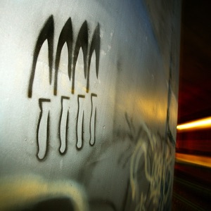 Youth Is a Ghost album art