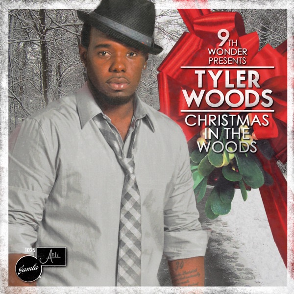 Cover of Christmas In The Woods