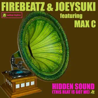 Hidden Sound (This Beat Is Got Me) (Vocal Radio Edit) [feat. Max C] by Firebeatz & JoeySuki song reviws