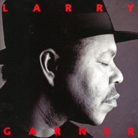 Larry Garner - Cold Chills