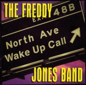 Freddy Jones Band - Rain