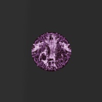 Great Violence / Ultimate Weapon - Single - Igneon System & Lowroller