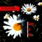 Dans la vie (Original Extended Mix) - DJ Plastiko lyrics