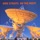 Dire Straits - Brother In Arms