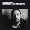 Here Today Gone Tomorrow - Fritz Kalkbrenner