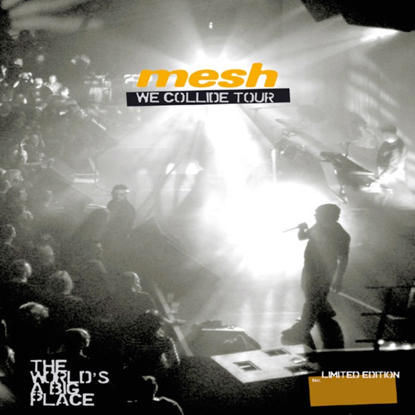 We Collide Tour - the World's a Big Place artwork