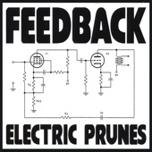 The Electric Prunes - I'll Give You Feedback