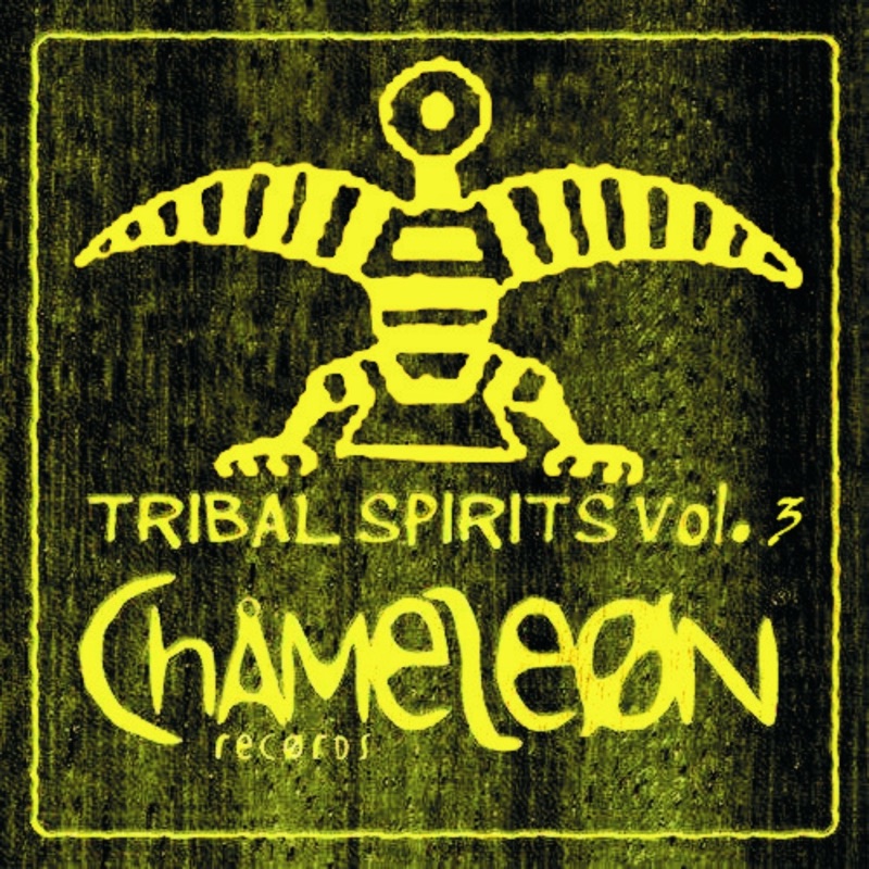 Album art for Land of Soul