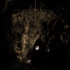 Wolves in the Throne Room - Cleansing