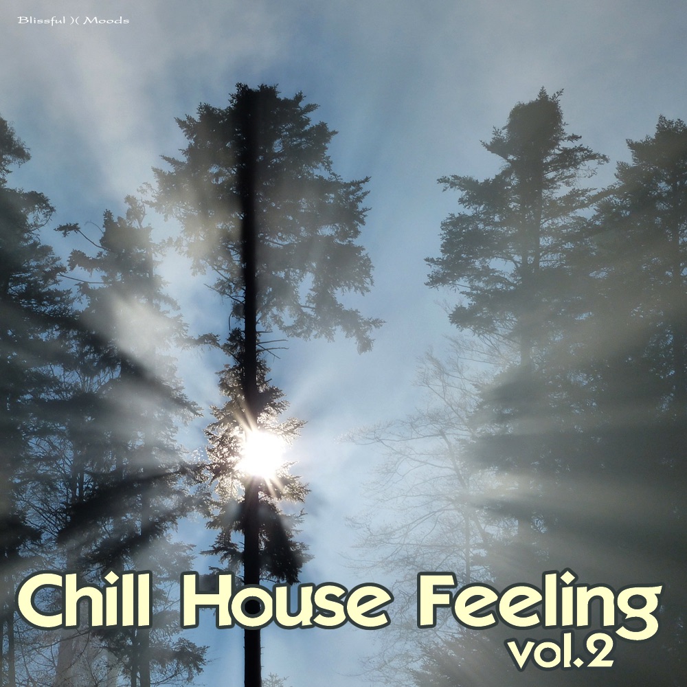 Chill House Feeling, Vol. 2