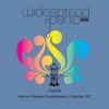 Widespread Panic