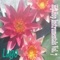 Clear Cryst (Murder Mystery) - Lugo lyrics
