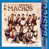 Suave y Tierno cover art