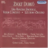 Budapest Symphony Orchestra & Tamás Pál - Violin Concerto I. Allegretto