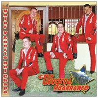 Valor Y Suerte Del Chapo - Los Alegres Del Barranco