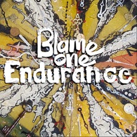 Endurance - Blame One
