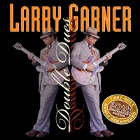 Larry Garner - Shut It Down