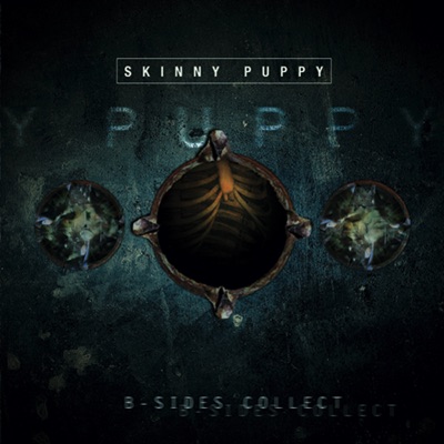 B-Sides Collect - Skinny Puppy