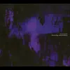 Svartsinn - Draped In Shadows