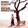 Romeo Scaccia meets Kocani Orchestra