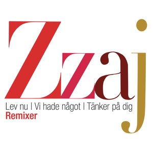 Remixer - Single
