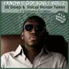 House Bros, Britalics & Joy Malcolm - Love What You Feel (House Bros Soulful)