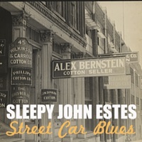 Sleepy John Estes - Drop Down Mama