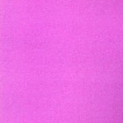 Snowball - The Field Mice