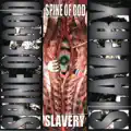 Choose the flesh