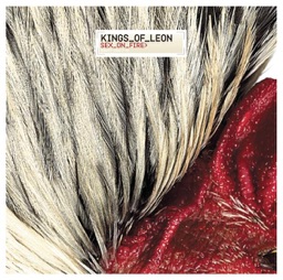 Sex On Fire by Kings of Leon